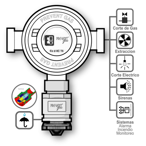 Detectores de gas para procesos Industriales